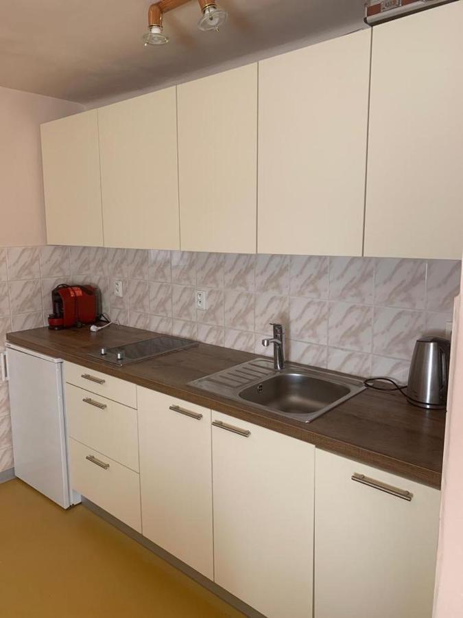 Apartment Jane Senec Esterno foto